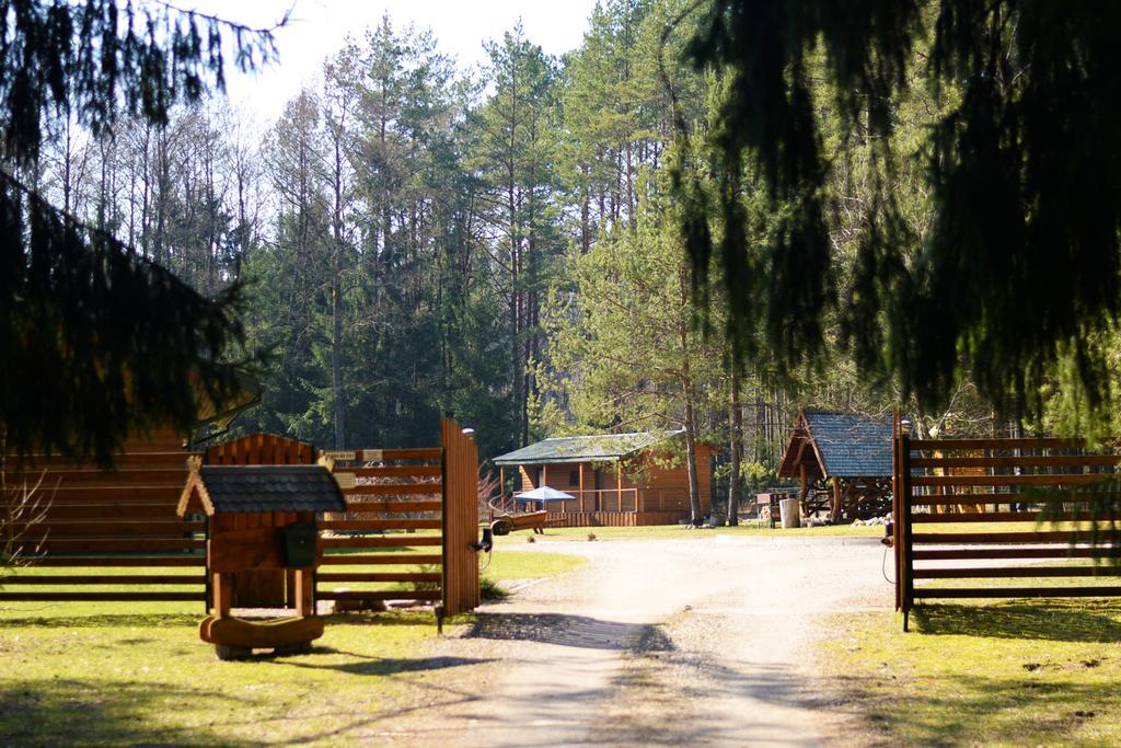 Vanago Lizdas Druskininkai