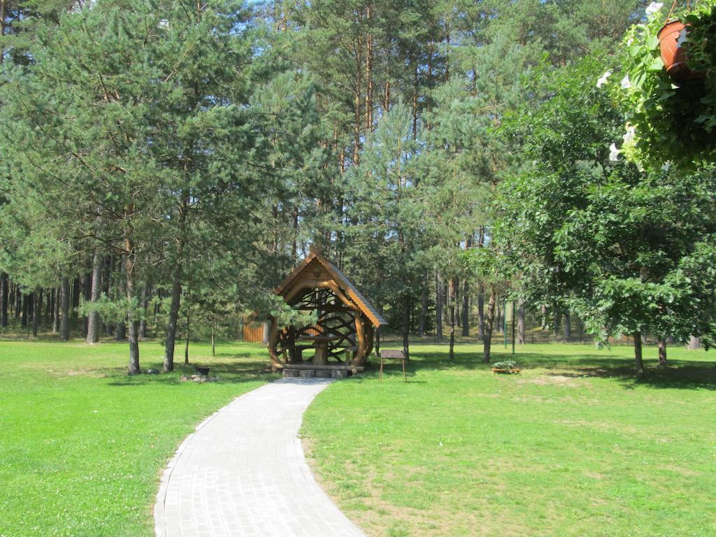 Vanago Lizdas Druskininkai