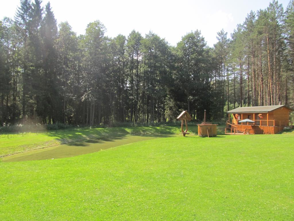 Villa Vanago Lizdas Druskininkai